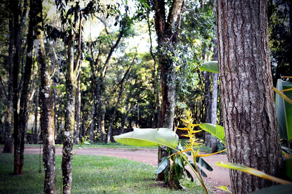 Cabanas Las Termas Villa Oberá Kültér fotó